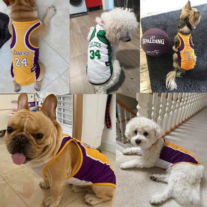 Basketball Dog Jersey & Puppy Outfit for Small & Medium Dogs - Loyal Paws