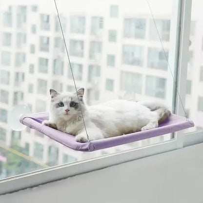 Best Firm & Comfortable Cat Window Hammock Perch - Loyal Paws