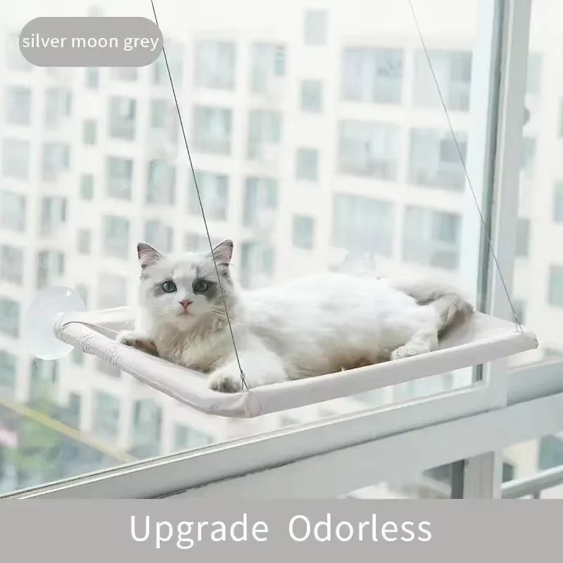 Best Firm & Comfortable Cat Window Hammock Perch - Loyal Paws