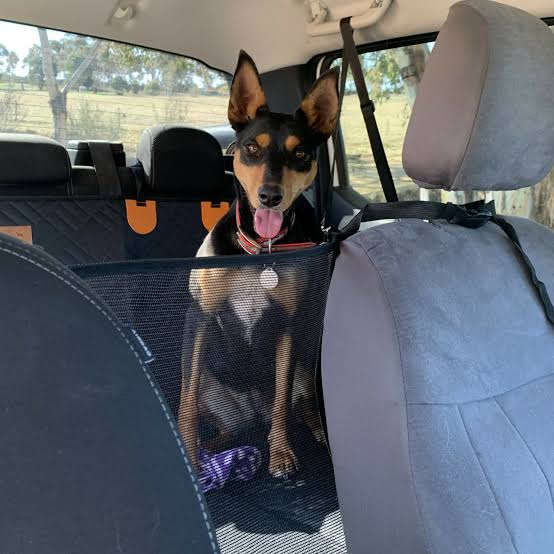 LoyalPaws Dog Car Seat Cover – No More Fur & Muddy Paws