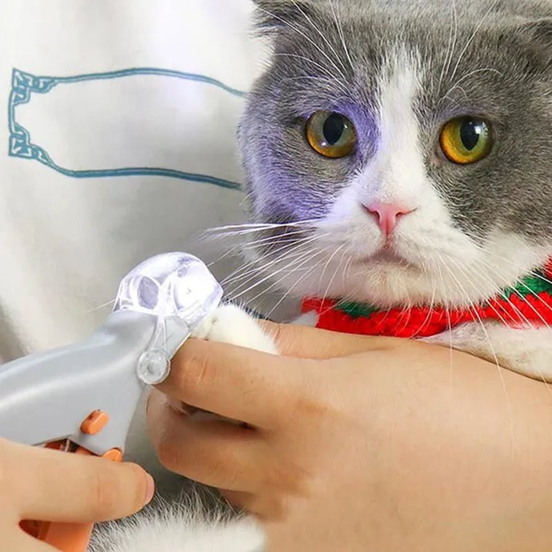 Professional Pet Nail Trimmer for Dogs & Cats - Loyal Paws