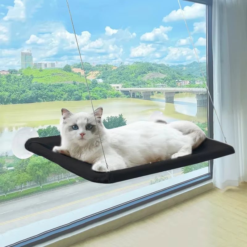 Best Firm & Comfortable Cat Window Hammock Perch - Loyal Paws
