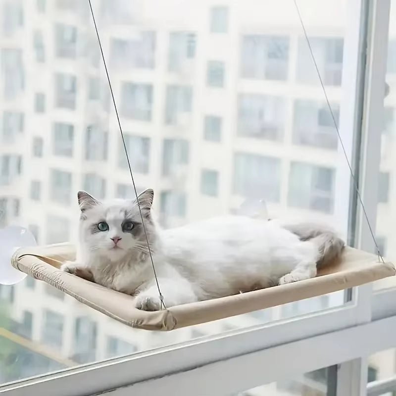 Best Firm & Comfortable Cat Window Hammock Perch - Loyal Paws
