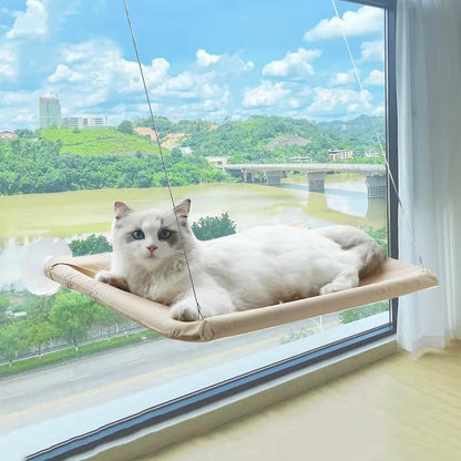 Best Firm & Comfortable Cat Window Hammock Perch - Loyal Paws