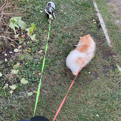 Best Heavy - Duty Retractable Dog Leash for All Dogs - Loyal Paws