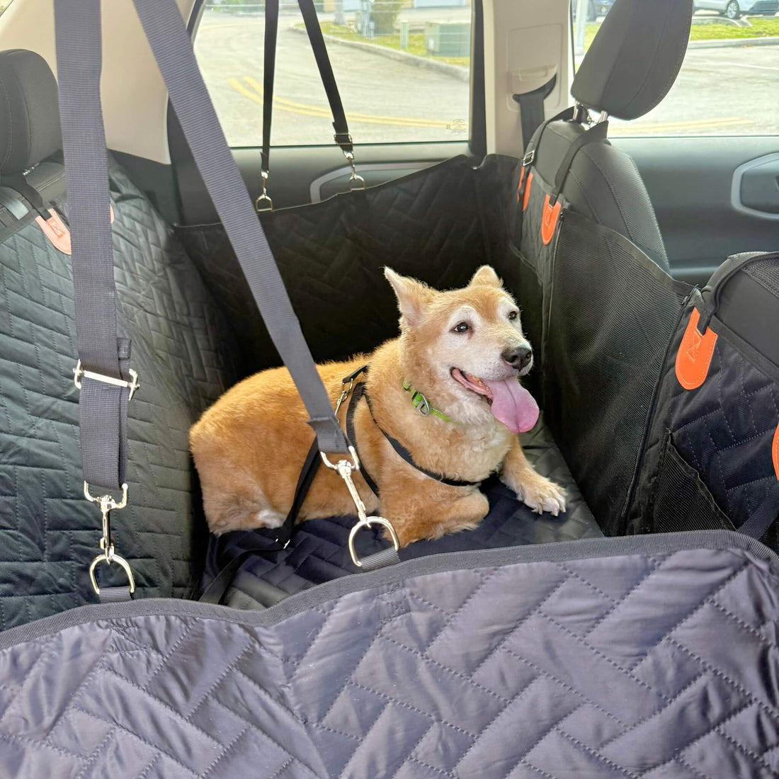 LoyalPaws Dog Car Seat Cover – No More Fur & Muddy Paws