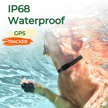 LoyalPaws SafeTrack™ 4G GPS Pet Tracker